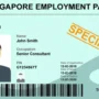What Are Singapore’s S Pass & Employment Pass-2023